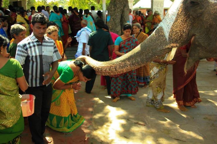 j14-13072013-trichy-tanjore-img-3515.jpg