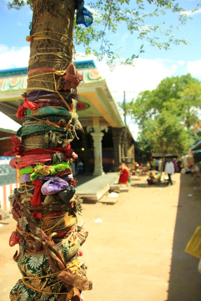 j14-13072013-trichy-tanjore-img-3589.jpg