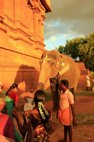 j14-13072013-trichy-tanjore-img-3841.jpg